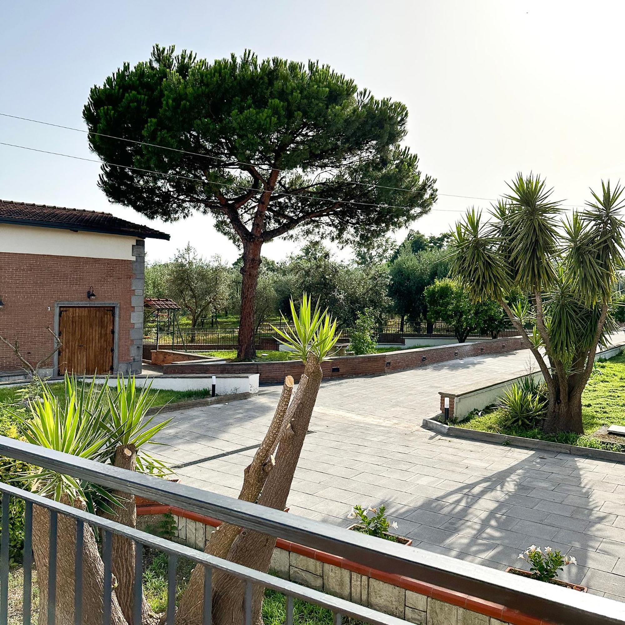 Tenuta Nunziata - Food, Event, Biofarm Торре-Аннунціата Екстер'єр фото