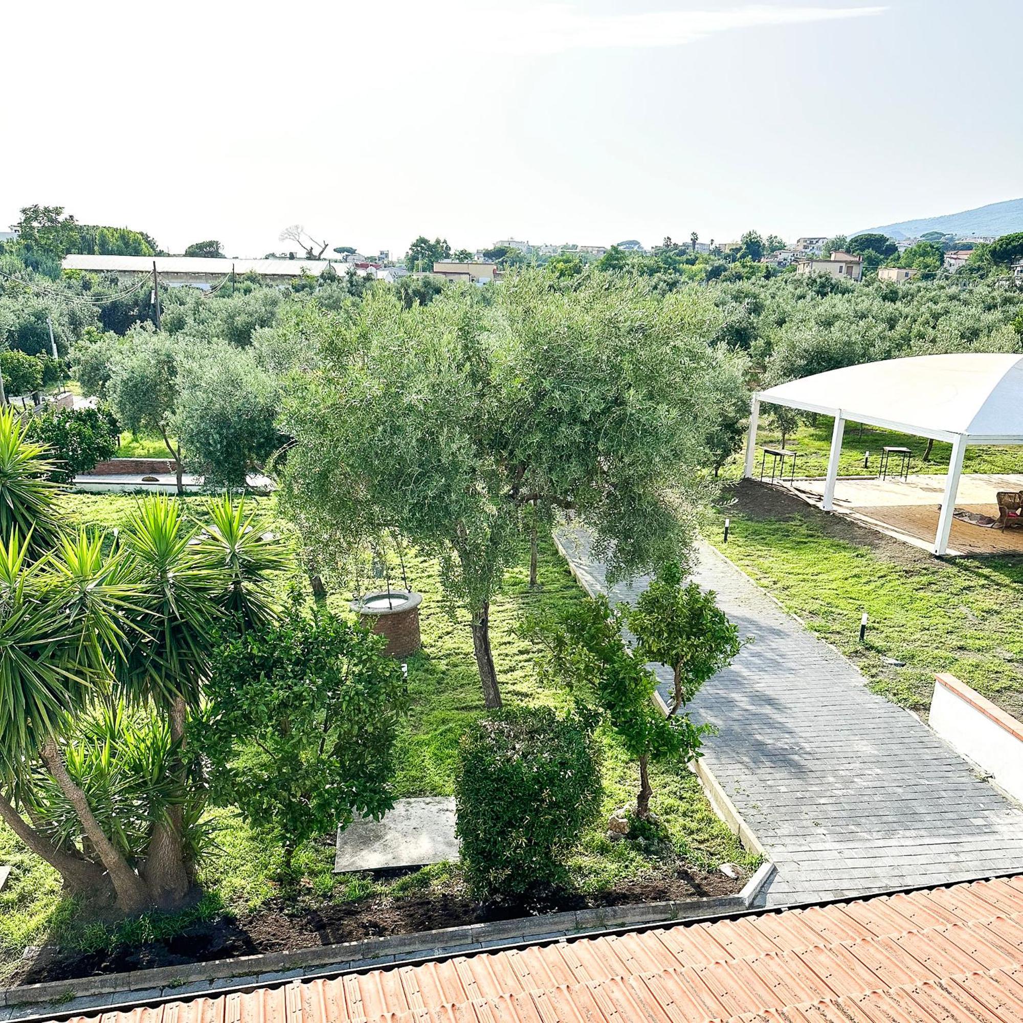 Tenuta Nunziata - Food, Event, Biofarm Торре-Аннунціата Екстер'єр фото